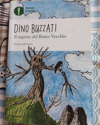libro Il segreto del bosco vecchio 