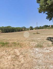 TER. AGRICOLO A FANO