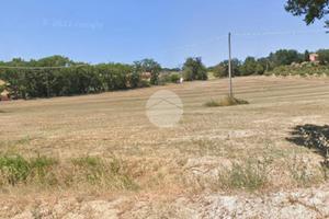 TER. AGRICOLO A FANO