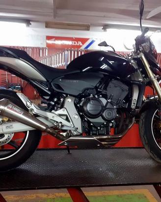 TERMINALE DI SCARICO OMOLOGATO USATO HORNET 600