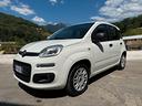 fiat-panda-1-2-easy-5-posti-69cv