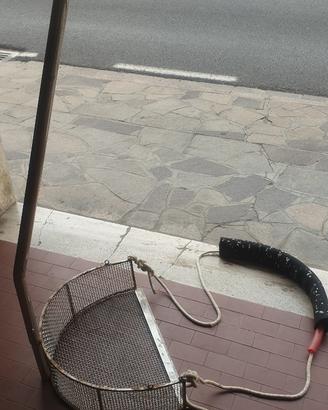 Tellinaro in acciaio