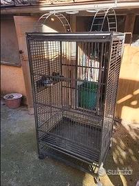 Gabbia Uccelli