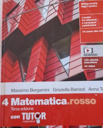 Matematica .rosso vol.4