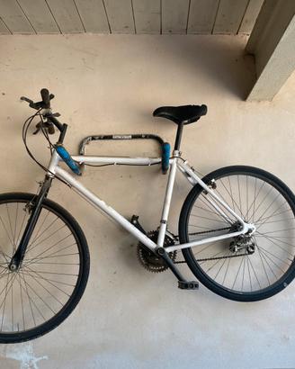 Biciclette 3 (uomo+donna+bambina)
