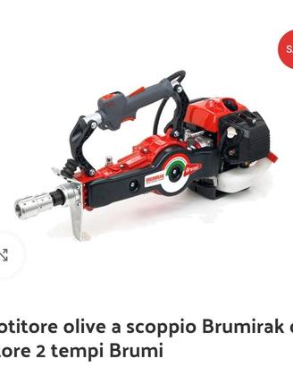 Scuotitore olive Brumi