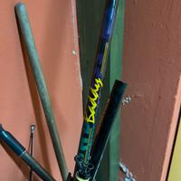 Canna da surfcasting