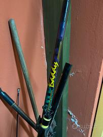 Canna da surfcasting