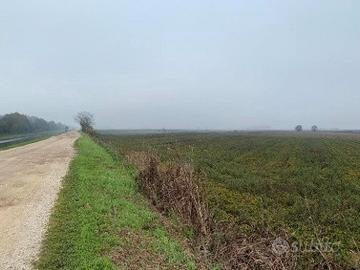 RGE 110/2024 Tribunale Verona