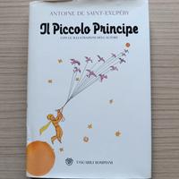 Libro Il Piccolo Principe