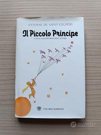Libro Il Piccolo Principe