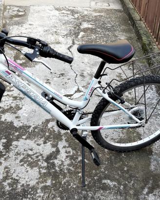 Biciclette