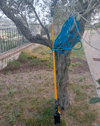 Forbice per potatura pneumatica con asta