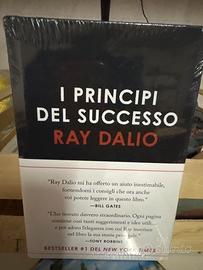 Libro- I principi del successo