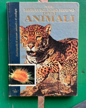 Nel meraviglioso regno degli animali