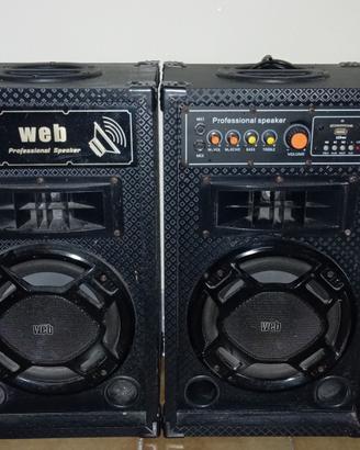casse web professional speaker 
