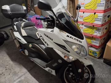 Tmax white Max