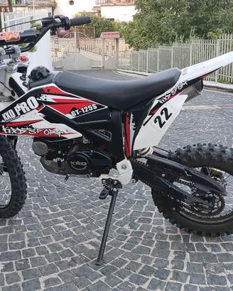Pit Bike kxd 125