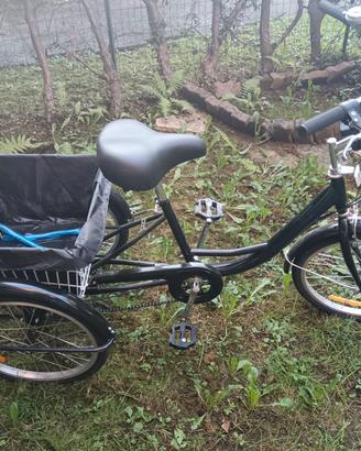 bicicletta a tre ruote
