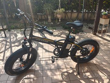 Bici elettrica pieghevole 1000W