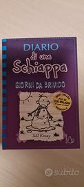 Diario di una schiappa: Giorni da brivido