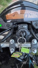 hornet 600 2012 ABS