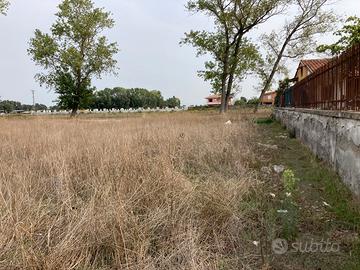 Rif 187 lotto terreno 1.200 mq domiziana