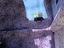 Immagine 11