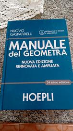 manuale del geometra 
