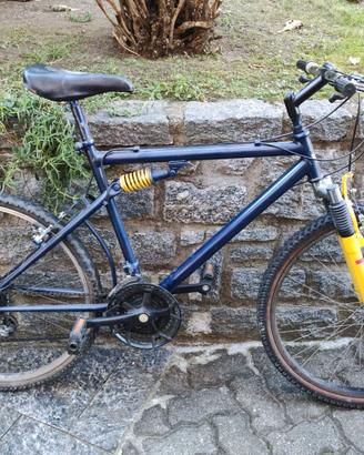 Bici mtb