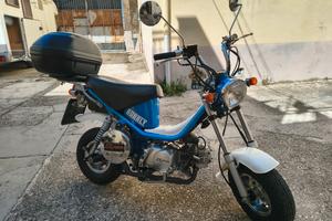 SkyTeam Bubbly 125 (Replica Yamaha) top per camper
