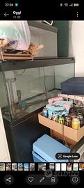 acquario 
