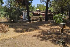 Immobile di 2400 m² a Corigliano-Rossano