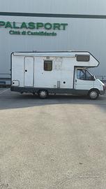 Camper koala 100