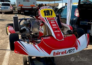 Carene kart Kg 506 BirelArt Freeline