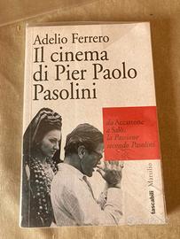 Adelio Ferrero, “Il cinema di Pier Paolo Pasolini”