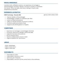 Lavoratore ordinario