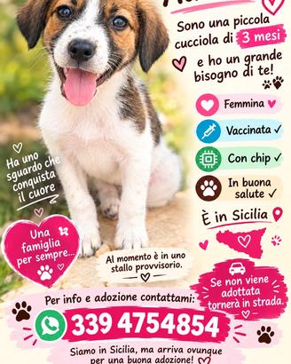 TAGLIA Grande
