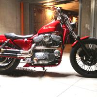Harley Davidson Sportster 883 centenario