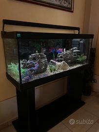 acquario 120cm