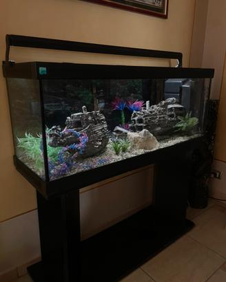acquario 120cm