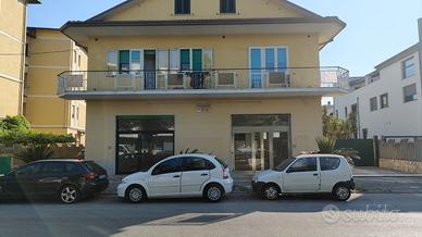 Luminoso locale commerciale