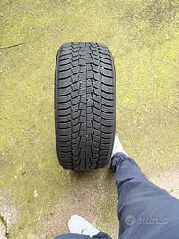 Gomme