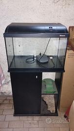 Aquario
