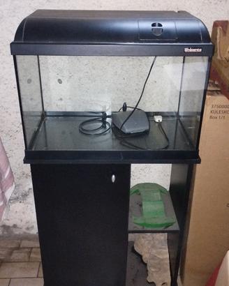 Aquario