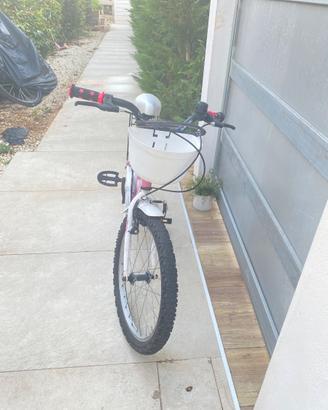 Bicicletta