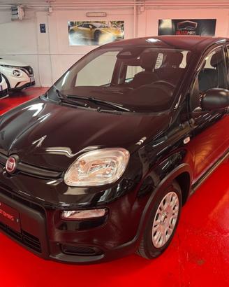 Fiat Panda 1.0 FireFly S&S Hybrid Pandina