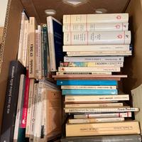 Lotto  di 100 libri misti