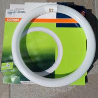 NEON CIRCOLARE OSRAM