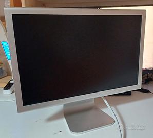 Apple A1081 monitor 20"